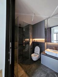 Irwell Hill Residences (D9), Apartment #557956291